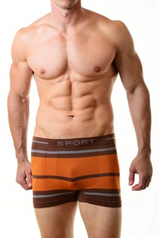 Men's Phantom Seamless Boxer Briefs Underwear style 2