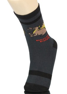 DINOSAURS AND RAPTORS BOYS COMPUTER SOCKS style 2