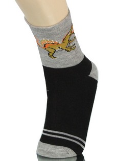 DINOSAURS AND RAPTORS BOYS COMPUTER SOCKS style 5