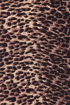 Women's Leopard Print Bodycon Dress style 5