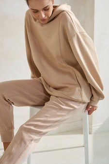 Sporty Chic UltraComft Hoodie and Jogger Set style 4