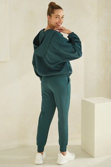 ETA 11/13/24 - Sporty Chic UltraComfy Hoodie Jacket and Jogger Set style 3