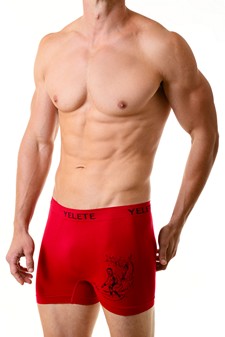 Men's Pipeline Seamless Boxer Briefs Underwear style 4